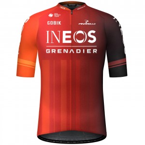 Heren Fietskleding Gobik FDJ Suez 2024 Odyssey shirt