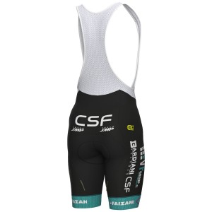 Ale VF Group-Bardiani CSF-Faizane 2024 koersbroek voor heren