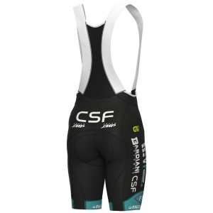 Heren Fietskleding Ale VF Group-Bardiani CSF-Faizane 2024 PRS koersbroek