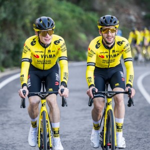 Heren Team Visma Lease a Bike 2025 shirt met lange mouwen