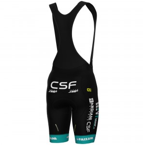 Heren Ale VF Group-Bardiani CSF-Faizane 2025 koersbroek
