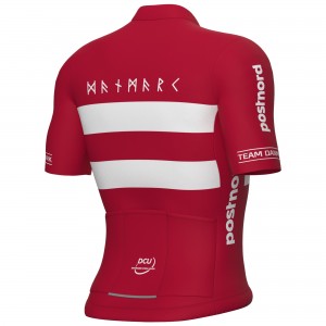 Heren Fietskleding Ale Deens elftal 2025 shirt