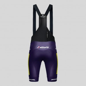 Heren Fietskleding Gobik Wilier Vittoria 2025 Absolute Print K10 Bib Tights