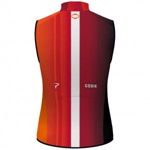 Heren Gobik Ineos Grenadiers Vest 2025 Plus 2.0