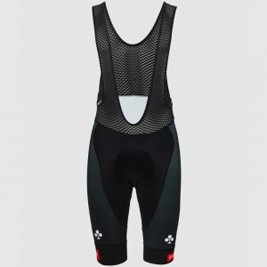Heren Pissei UAE Team Emirates 2025 koersbroek met bretels