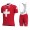 2020 Team FDJ Swiss Champion Fietskleding Set Fietsshirt Met Korte Mouwen+Korte Koersbroek Bib 204THFJ