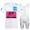 White EF Education Frist Tour De France 2021 Team Fietskleding Set Wielershirts Korte Mouw+Korte Fietsbroeken Bib X42gth