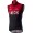 Wielerkleding Profteams 2020 TEAM INEOS Gilet da biciclettaCASTELLI