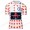 Team INEOS Grenadier Tour De France 2020 Fietsshirts Korte Mouws FLRHC