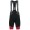 Santini Sleek 99 Rood Korte Fietsbroeken Bib