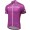 2015 Tour AzerBaidjan Wielershirt Met Korte Mouwen Purper